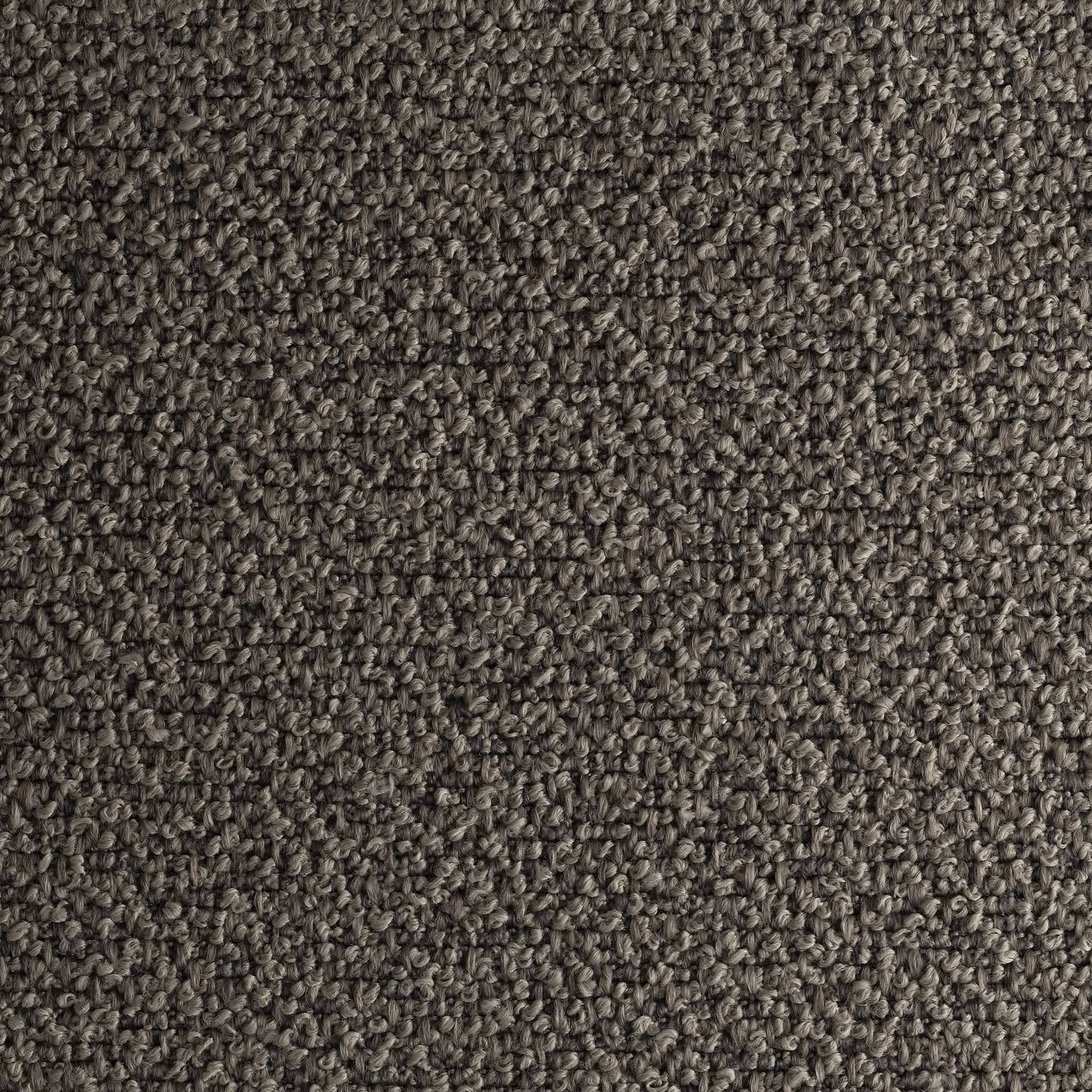 Material Loro Piana, Dehors Bouclé Grey Dune image