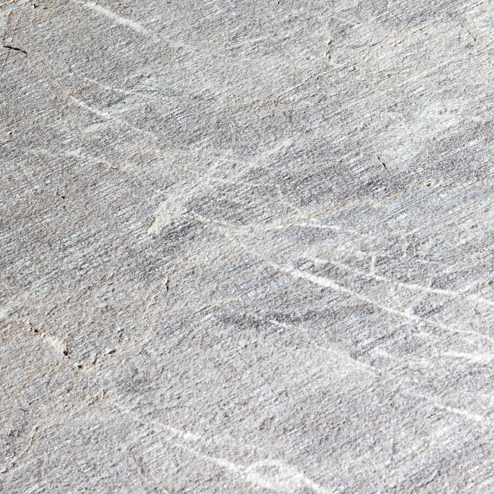 Material Leaf Rust image