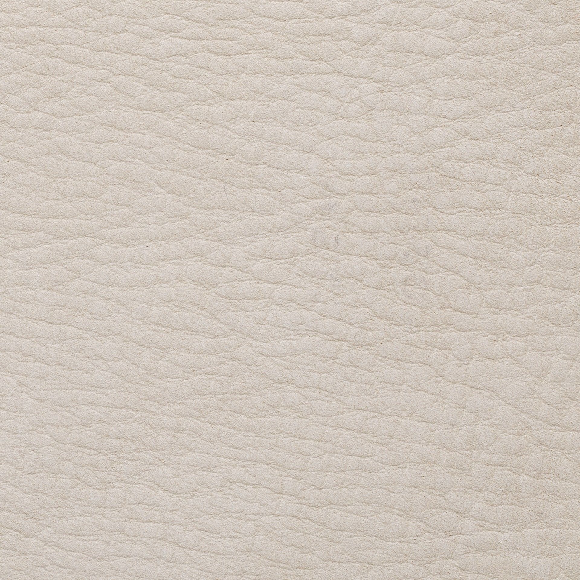 Material Avorio image