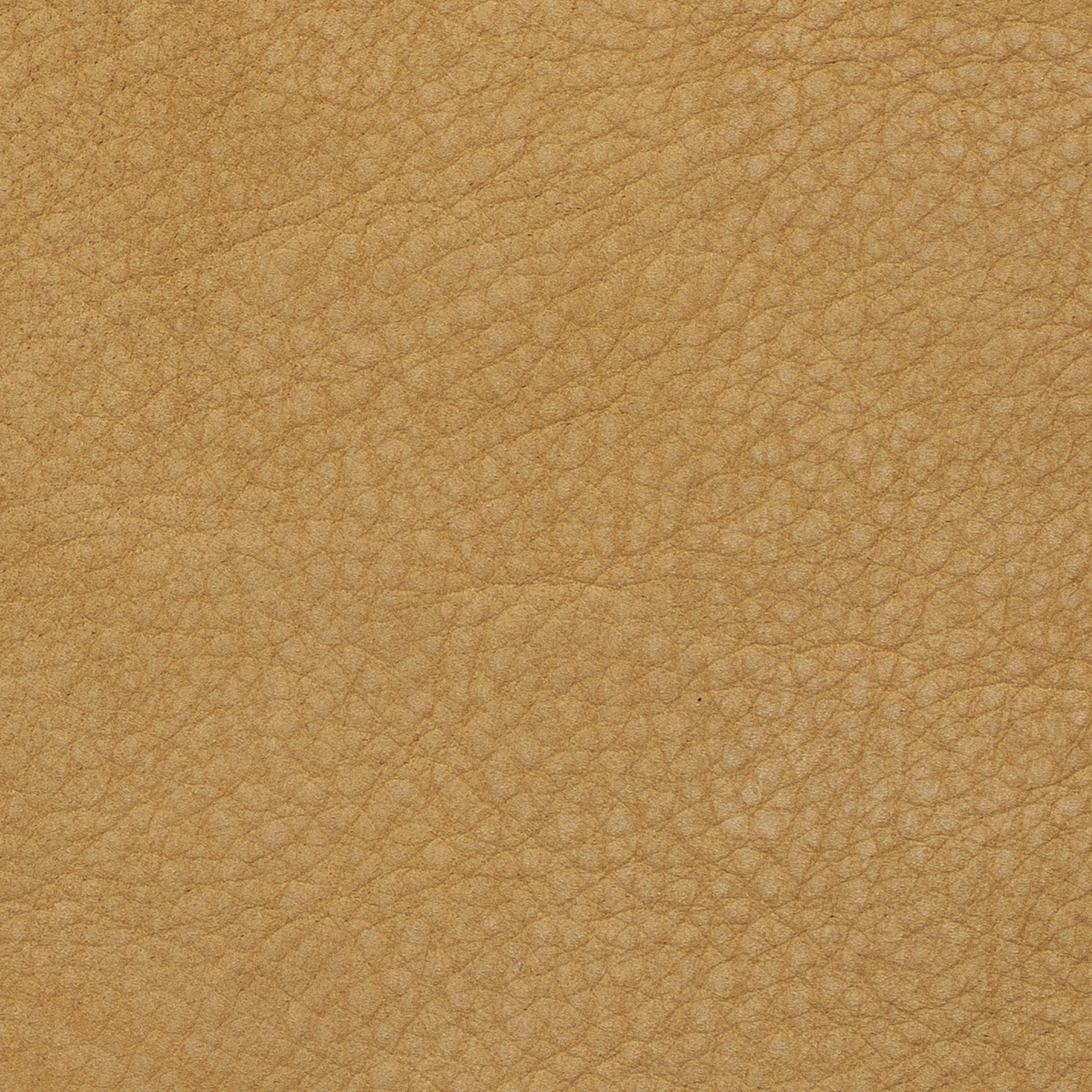 Material Camoscio image