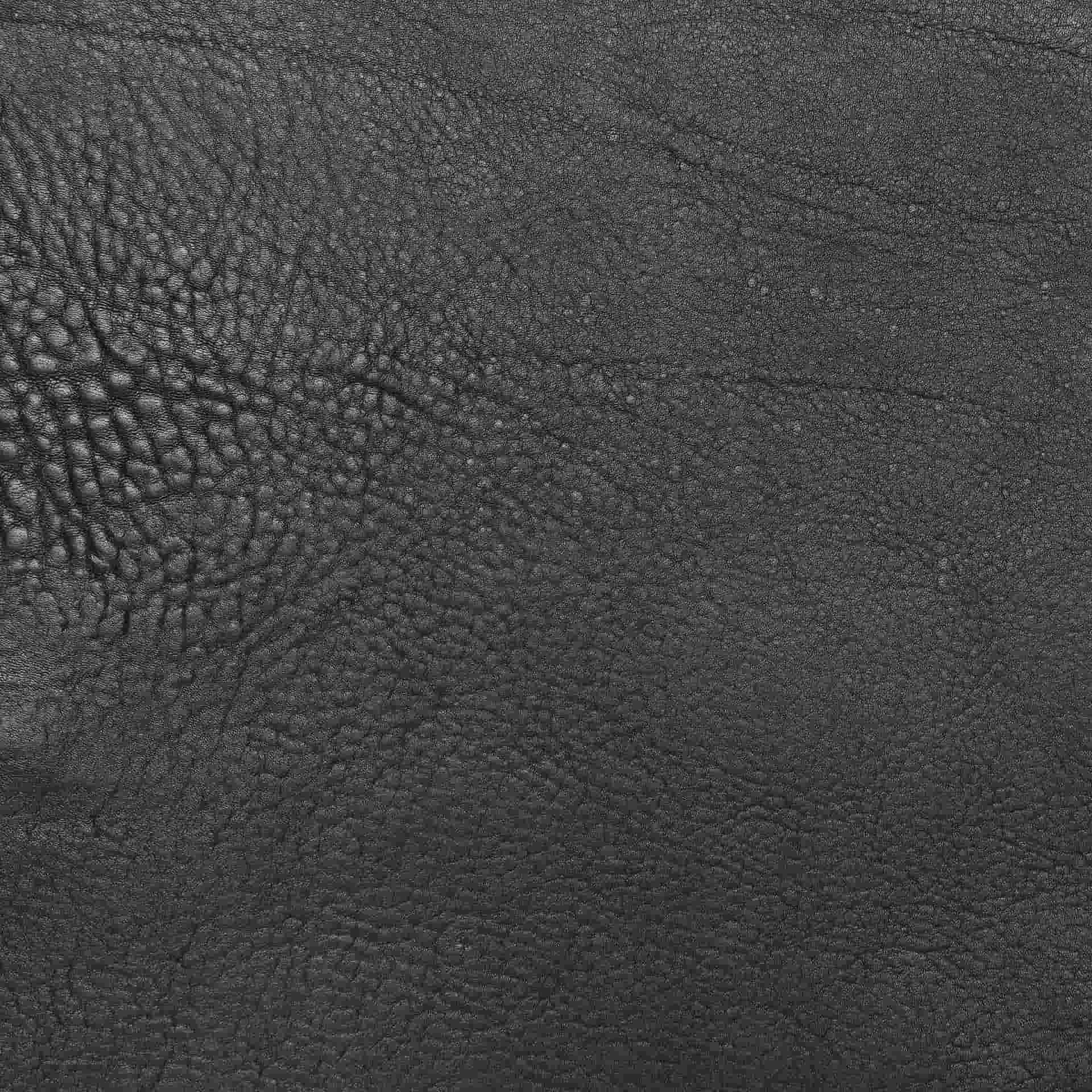 Material Balena image